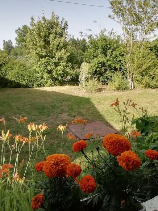 Maison De Village En Bord De Riviere Narcy Zewnętrze zdjęcie