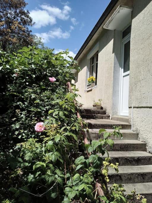 Maison De Village En Bord De Riviere Narcy Zewnętrze zdjęcie