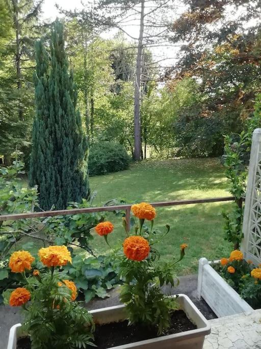 Maison De Village En Bord De Riviere Narcy Zewnętrze zdjęcie